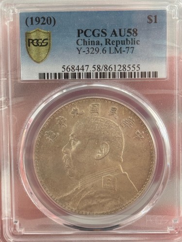 1920 cina repubblica - cina, man