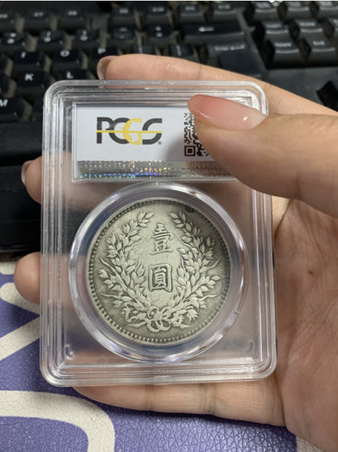 Cina silver dollar firma big - cina,